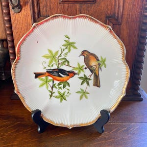 Unique Vintage Japanese Export Bird Plate, Hand Painted Cardinal Blue Jay Oriole, Wall Decor