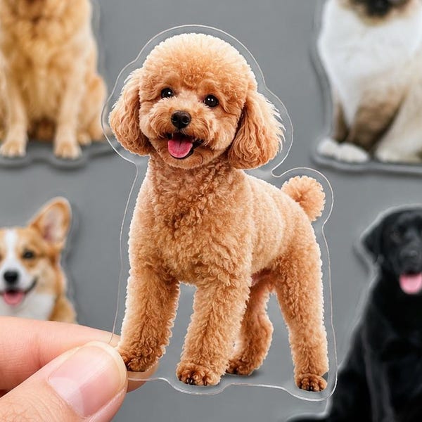 Custom Pet Photo Fridge Magnet, Acrylic Dog Cat Portrait Keepsake (Personalized)
