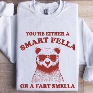 ¿Eres un tipo inteligente o huele a pedos? Camiseta de dibujos animados retro, camiseta rara, camiseta de meme, camiseta de Trash Panda,