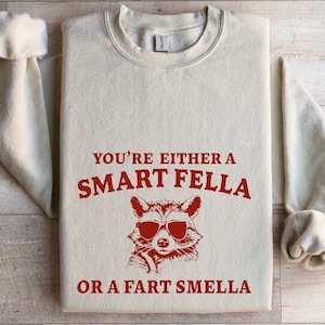 ¿Eres un tipo inteligente o huele a pedos? Camiseta de dibujos animados retro, camiseta rara, camiseta de meme, camiseta de Trash Panda,
