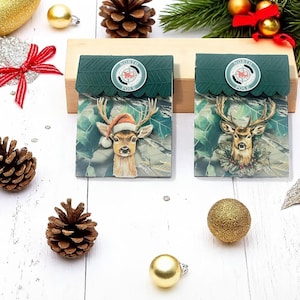Kerstcadeaukaarthouder, rendier en de noordpool, kaart, verpakking, cadeaukaart kerst, kerstcadeaukaart, handgemaakte cadeaukaarthouder,