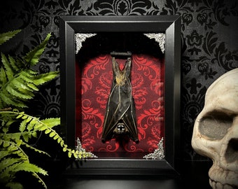 Taxidermy Bat Shadowbox with Red Damask Backing - Real Bat - Gothic Gift - Bat Gift - Gothic Home Decor - Tattoo Shop Decoration