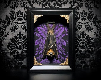 Custom Purple Taxidermy Bat Shadowbox - Gothic Home Decor - Halloween Gift - Halloween Decoration - Purple Damask