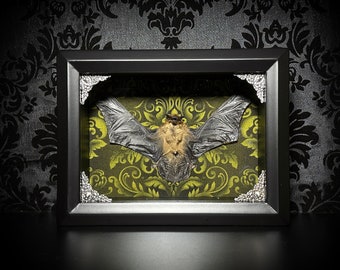 Green Damask Taxidermy Bat Shadowbox with Bamboo Bat - Gothic Home Decor- Gothic Gift - Halloween Decoration