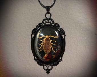 Real Scorpion Necklace with Black Victorian Setting // Gothic Jewelry // Scorpion Pendant // Gothic Necklace // Scorpion Jewelry