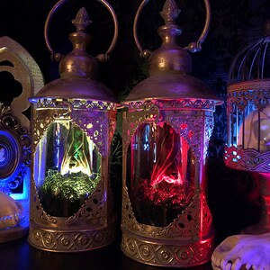 Light Up Taxidermy Bat Lantern // Halloween Decoration // Gothic Gift // Bat Gift // Gothic Christmas // Gothic Home Decor // Curiosities // image 1