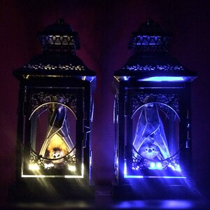 Light Up Taxidermy Bat Lantern // Halloween Decoration // Real Bat // Oddities // Bat Decoration // Gothic Home Decor // Bat Gift image 4