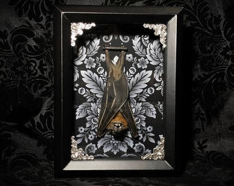 Taxidermy Bat Shadowbox - Damask - Real Bat - Gothic Gift - Gothic Home Decor - Gothic Christmas Gift - Bat Decoration