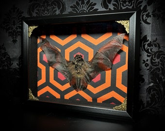 Large Taxidermy Bat Shadowbox on Retro Carpet Fabric - Gothic Home Decor- Oddities and Curiosities - Gothic Gift