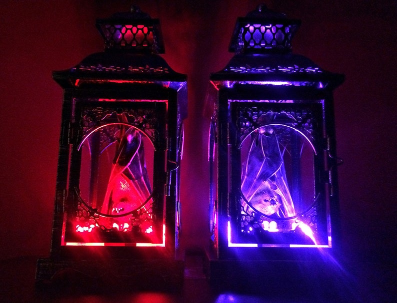 Light Up Taxidermy Bat Lantern // Halloween Decoration // Real Bat // Oddities // Bat Decoration // Gothic Home Decor // Bat Gift image 8