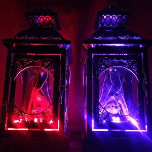 Light Up Taxidermy Bat Lantern // Halloween Decoration // Real Bat // Oddities // Bat Decoration // Gothic Home Decor // Bat Gift image 1