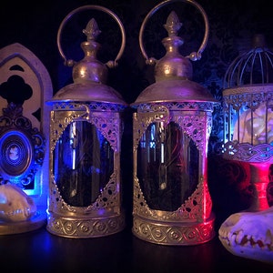 Light Up Taxidermy Bat Lantern // Halloween Decoration // Gothic Gift // Bat Gift // Gothic Christmas // Gothic Home Decor // Curiosities // image 2