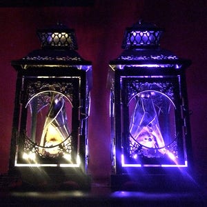 Light Up Taxidermy Bat Lantern // Halloween Decoration // Real Bat // Oddities // Bat Decoration // Gothic Home Decor // Bat Gift image 6