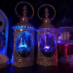 Light Up Taxidermy Bat Lantern // Halloween Decoration // Gothic Gift // Bat Gift // Gothic Christmas // Gothic Home Decor // Curiosities // image 5