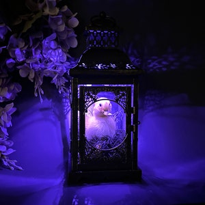 Taxidermy Duckling Lantern // Taxidermy Duck // Curiosities // Halloween Decoration // Oddities // Gothic Decor // Baby Duck image 3