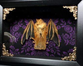 Asiatic Yellow Painted Bat on Purple Damask- Gothic Home Decor - Gothic Gift - Bat Gift - Oddities and Curiosities