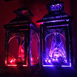 Light Up Taxidermy Bat Lantern // Halloween Decoration // Real Bat // Oddities // Bat Decoration // Gothic Home Decor // Bat Gift image 5
