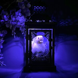 Taxidermy Duckling Lantern // Taxidermy Duck // Curiosities // Halloween Decoration // Oddities // Gothic Decor // Baby Duck image 10