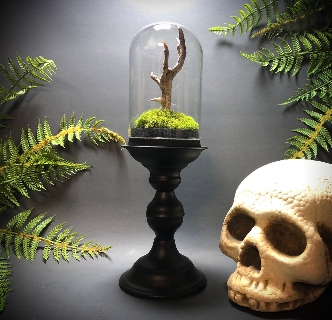 Pheasant Claw Pedestal Dome Display // Gothic Home Decor // - Etsy