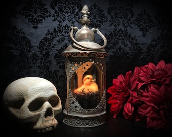 Light Up Taxidermy Baby Duck Lantern // Halloween Decoration // Gothic Gift // Duckling // Gothic Home Decor // Curiosities