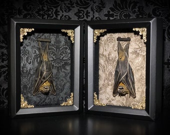 Custom Taxidermy Bat Shadowbox - Gothic Home Decor - Halloween Gift - Halloween Decoration