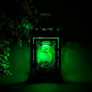 Taxidermy Duckling Lantern // Taxidermy Duck // Curiosities // Halloween Decoration // Oddities // Gothic Decor // Baby Duck image 6