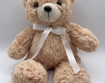 Osito de peluche grabable: regalo de recuerdo con mensaje de voz