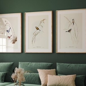 Set of 3 Birds Illustration Prints by Elizabeth Gould, Wall Decor Trio, Famous Artist Drawing, Perfect Gift, Contemporary Art