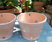 Whitewashed TerraCotta Orchid Planter Pot with Holes for Orchid Root Air Circulation Handmade Gift for Orchid Collector Aged Planter Pottery