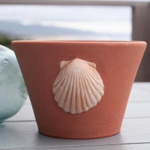 May include: Terracotta planter with a raised seashell design. The planter is a light brown color and has a wide, rounded base.