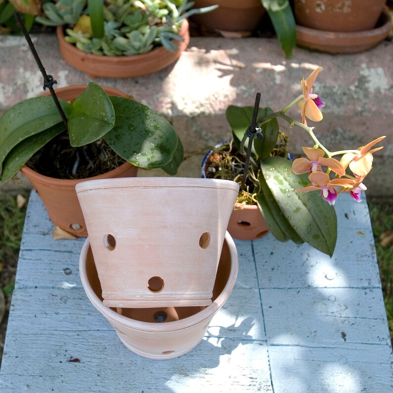 Whitewashed TerraCotta Orchid Planter/Pot with Holes for