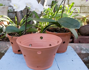 May include: Three terracotta pots with drainage holes, two are filled with soil and one is empty. A white orchid plant with pink flowers is growing in the pot on the right.