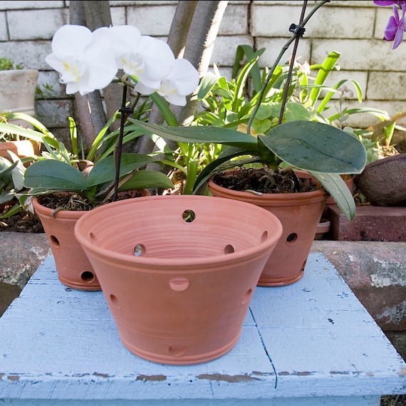 Clay on sale orchid pots