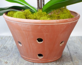 Large Orchid Planter, Whitewashed Terra Cotta Clay,7.5 to 8 Inch Top Diameter Wheel Thrown Pot, 12 Extra Holes for Orchid Root Health