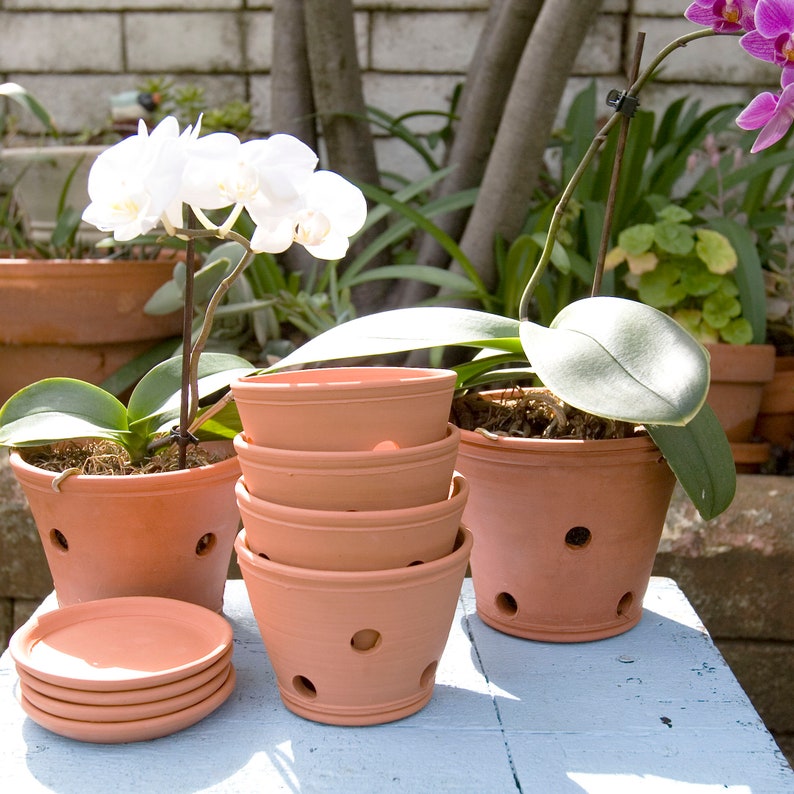 Small Orchid Terracotta Planterhandmade Orchid Pot Holes for Etsy