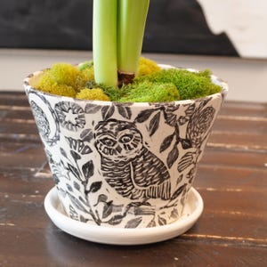 May include: A white ceramic planter with a black owl and floral design. The planter sits on a matching saucer and contains green moss and plant stems. The design is a detailed, hand-drawn style.