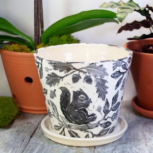 May include: A white ceramic plant pot with a black and gray squirrel and oak leaf design. The pot sits on a matching saucer. The pot is surrounded by other terracotta pots and greenery.