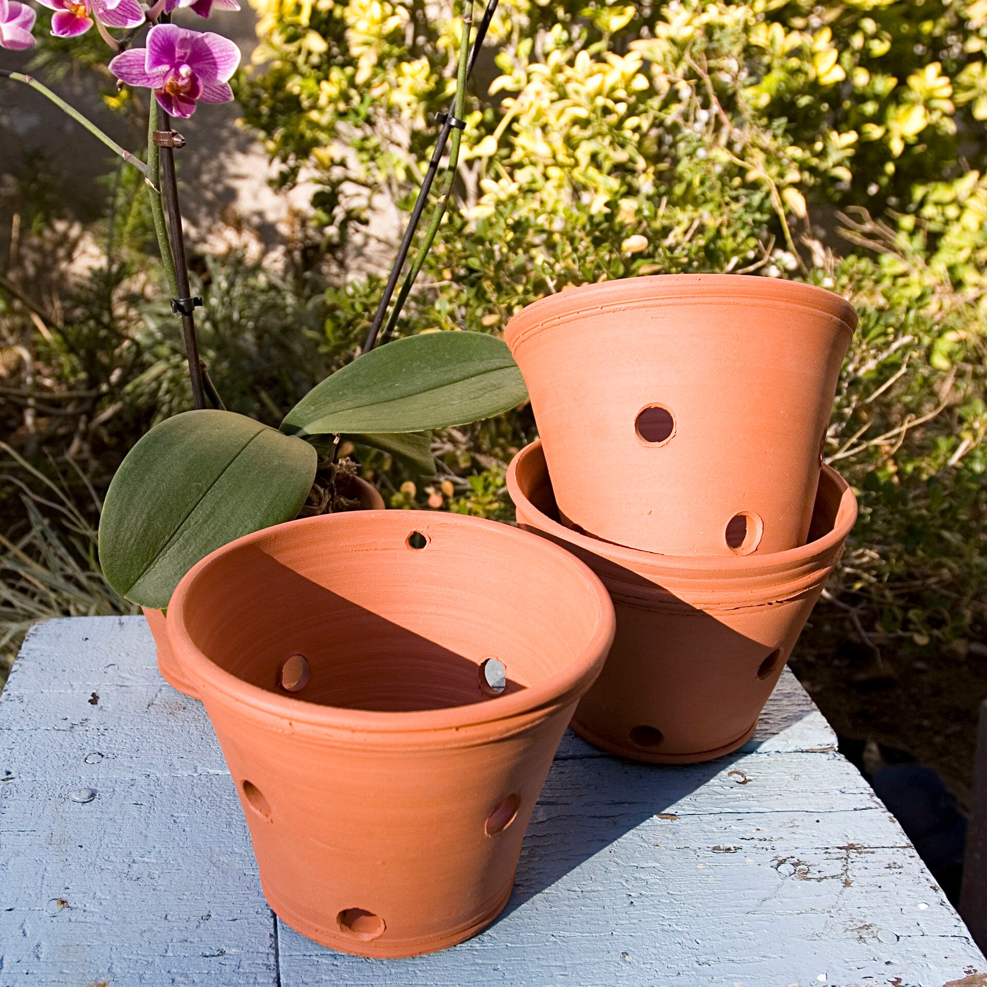 Pot à Orchidées En Céramique émaillée Avec Soucoupe - Design à Fentes, 14x10.5 Cm, Drainage Et Aération Optimaux