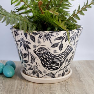 May include: A white ceramic planter with a black and white floral and bird design. The planter has a matching saucer and is filled with a green fern plant.