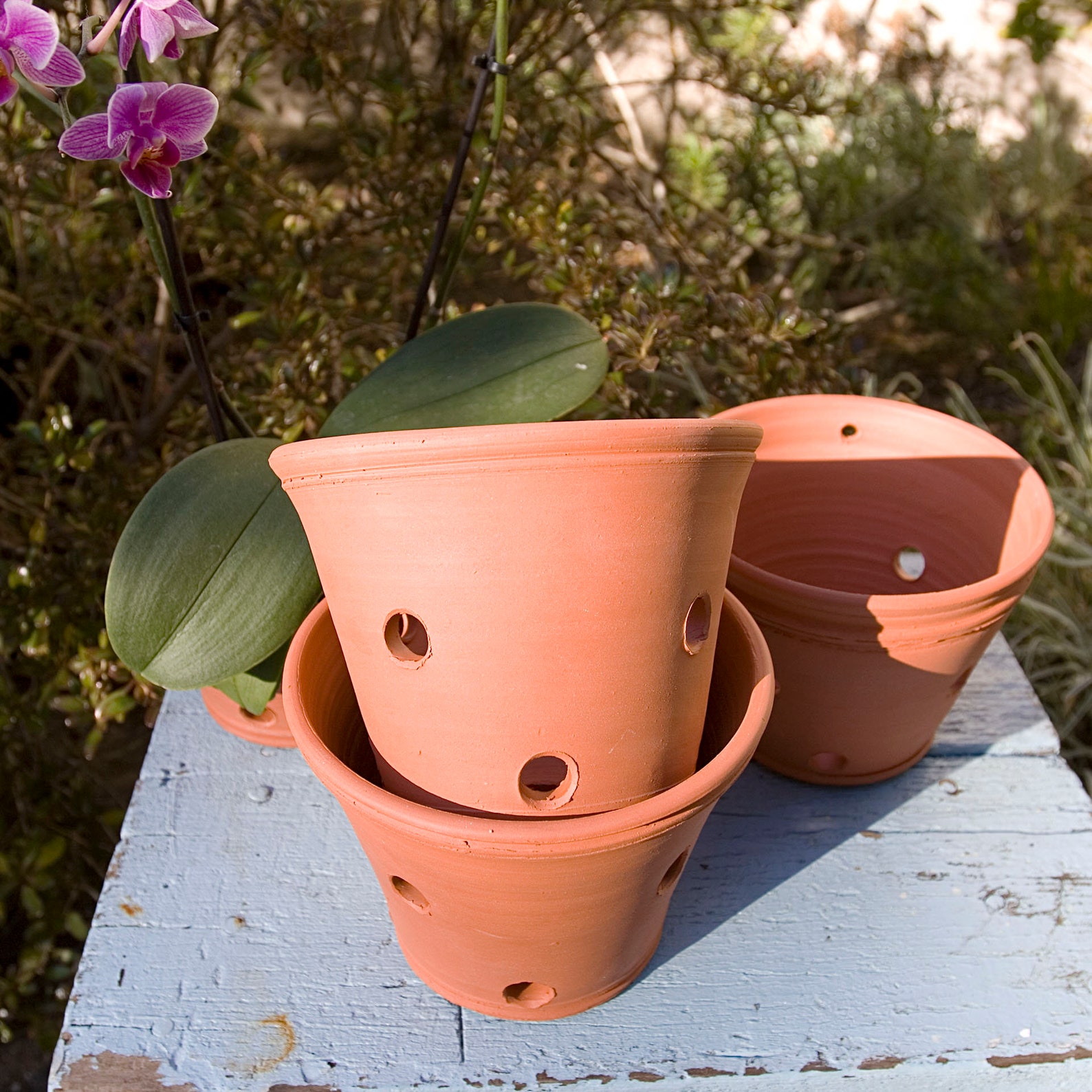 6 Inch Terracotta Orchid Potthrown on Potter's Wheel Etsy