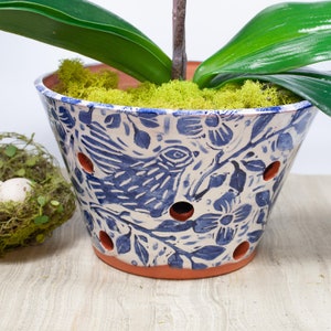 May include: A white ceramic planter with blue bird and floral designs. The planter has drainage holes and is filled with green moss.