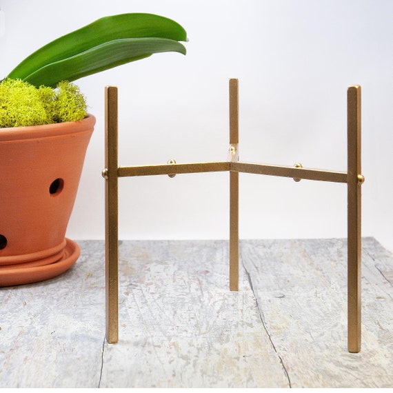 Brass Plant Standplant Displaystand for Orchid Air Etsy