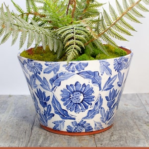May include: A white ceramic planter with a blue floral pattern. The planter is filled with green moss and a fern plant.