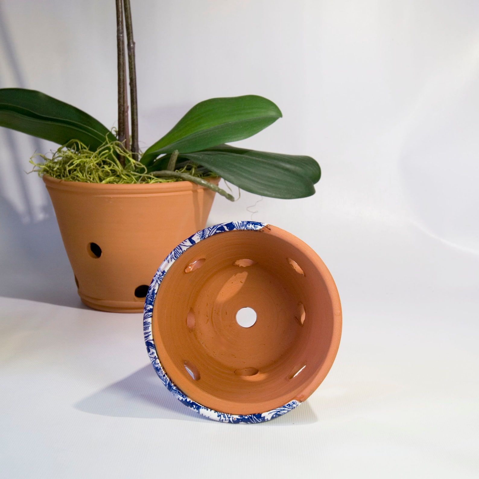 Small Orchid Planter with Holes for Orchid Root Etsy