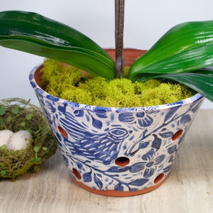 May include: A white ceramic planter with a blue and white floral pattern and drainage holes. The planter is filled with green moss and a green leafy plant.