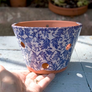 May include: A ceramic plant pot with a blue and white floral pattern. The pot has a terracotta rim and base, and several drainage holes. The pot is held by a hand.