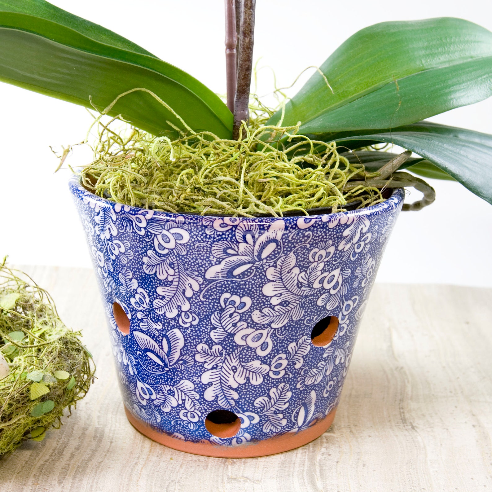 Orchid Planter TerraCotta Planter with Extra Holes for