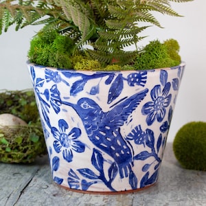 May include: A white ceramic planter with a blue hummingbird and floral design. The planter is filled with green moss and ferns. The pot has a wide opening and a slightly flared shape, perfect for indoor or outdoor use.