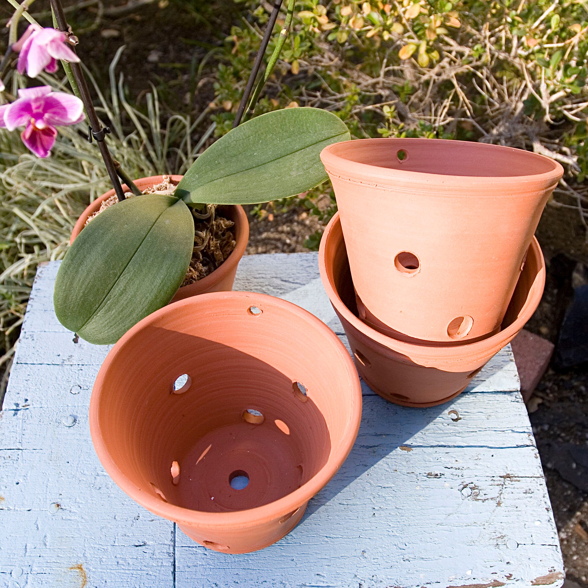 Pot à Orchidées En Céramique Avec Soucoupe - Pot Émaillé Avec Trous, Drainage, Pour Plantes D'Intérieur - 5