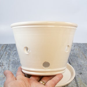 Handmade Orchid Planter with Saucer: 6 Inch Ivory Ceramic Pot image 2